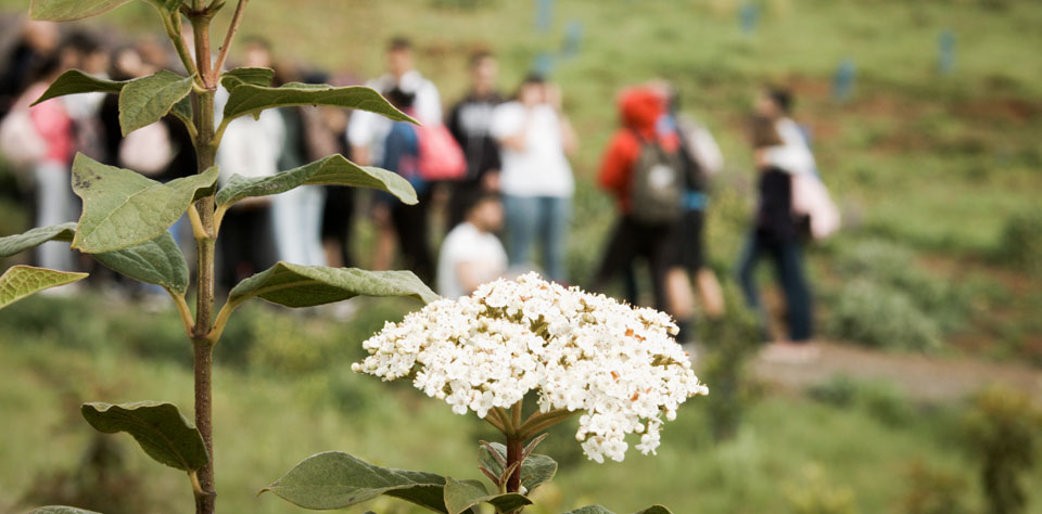 Grabación para la Fundación Foresta en la Finca de Osorio